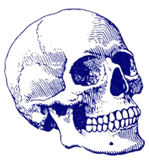 Pre-mortem illustration